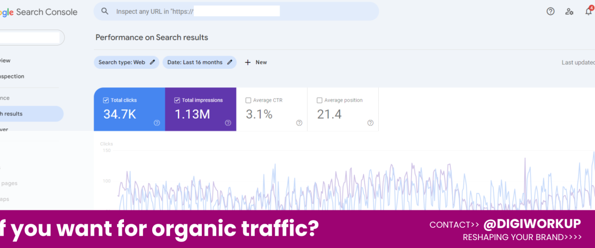 seo services